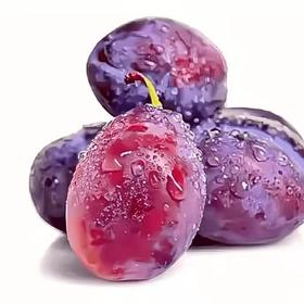 智利西梅 约500g 【BC】】【DN】