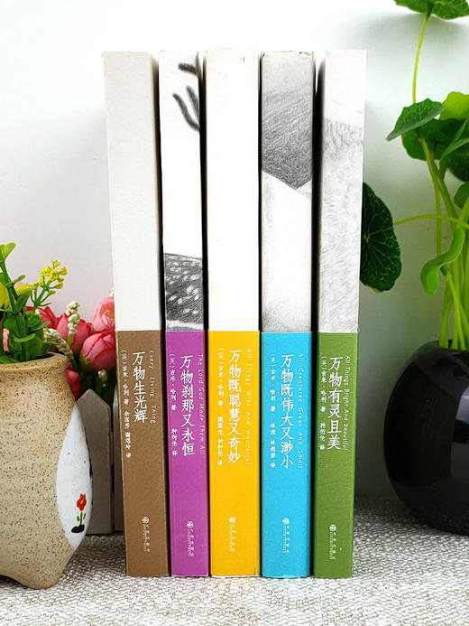 【心如健】正版 万物有灵且美系列小说 套装5册 万物生光辉 万物既伟大又渺小 万物刹那又永恒 万物既聪慧又奇妙 吉米哈利外国小说书现代小说 商品图1