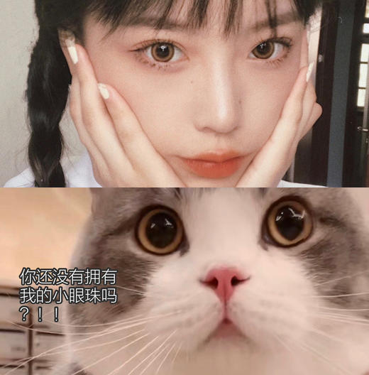 蛋壳棕（年抛型） 商品图1