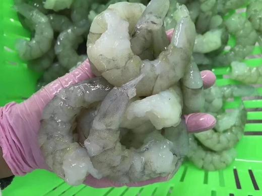 21-25免浆青虾仁500克 商品图3