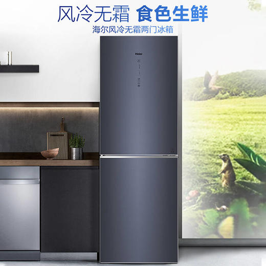 海尔冰箱双开门小型两门超薄电冰箱272升双变频风冷无霜BCD-272WLHC2D0B1 商品图3
