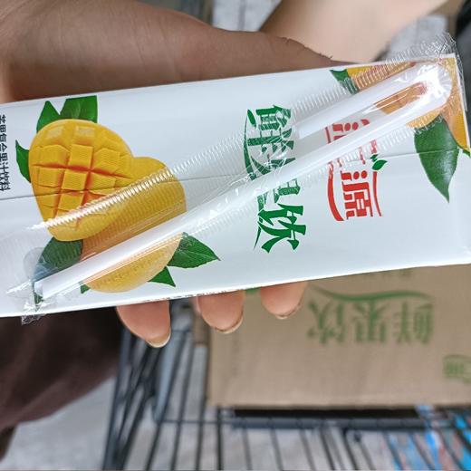 汇源鲜果饮芒果复合果汁饮料 商品图0