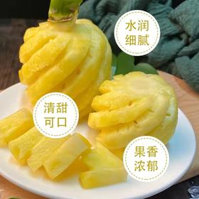 海南香水菠萝  约1000g 【BC】【DN】