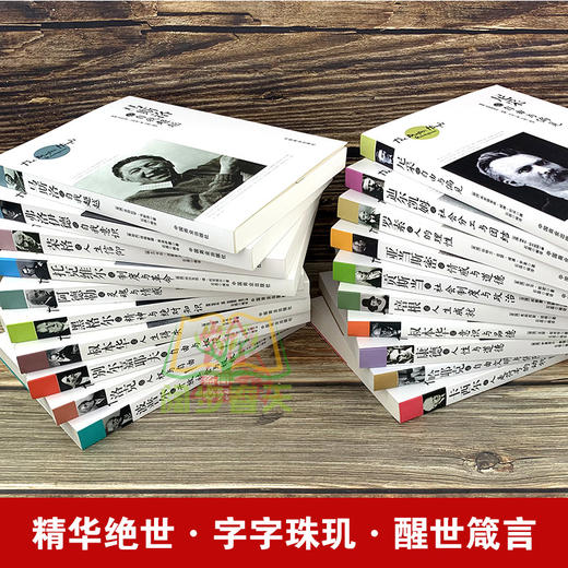 【心如健】全20册世界大师思想精粹 叔本华阿德勒心理学书籍尼采罗马斯洛康德人性与道德弗洛伊德西方哲学百年经典入门指导哲学经典书籍正版 商品图2