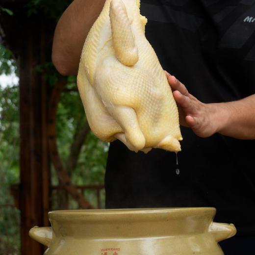 挑时生态无抗鸡 （2-2.5斤）150天跑山散养 0抗生素 0激素 商品图3