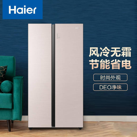 海尔539升风冷变频对开门冰箱BCD-539WGHSSEDY1 商品图0