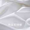 【专柜同款】罗蒙春夏长袖纯棉衬衫男士正装商务通勤百搭微弹力衬衣男 商品缩略图7