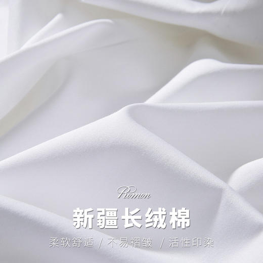 【专柜同款】罗蒙春夏长袖纯棉衬衫男士正装商务通勤百搭微弹力衬衣男 商品图7