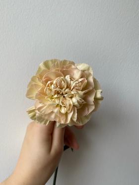 单头康乃馨 | 雷格马龙