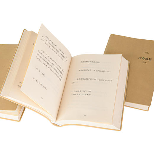 木心遗稿(1-3) 商品图3