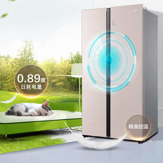 海尔539升风冷变频对开门冰箱BCD-539WGHSSEDY1 商品图2