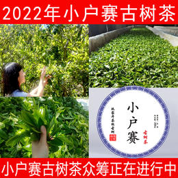 （众筹）2022年小户赛古树春茶