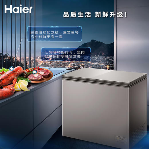 海尔142升小富豪卧式冷柜BC/BD-142HER 商品图1