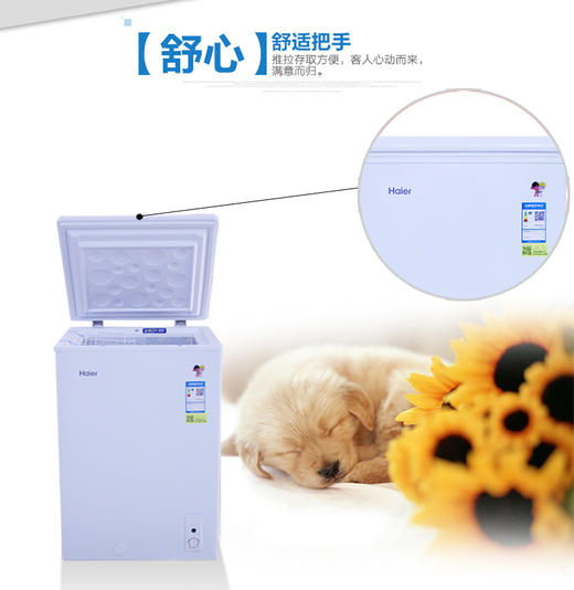 海尔升静音冷藏冷冻转换冰柜BC/BD-100HD 商品图2