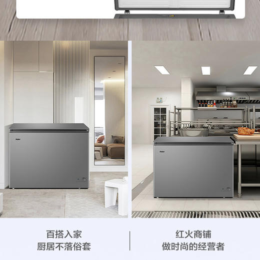 海尔（Haier）冷柜FCD-311LHKPT双温柜 商品图2