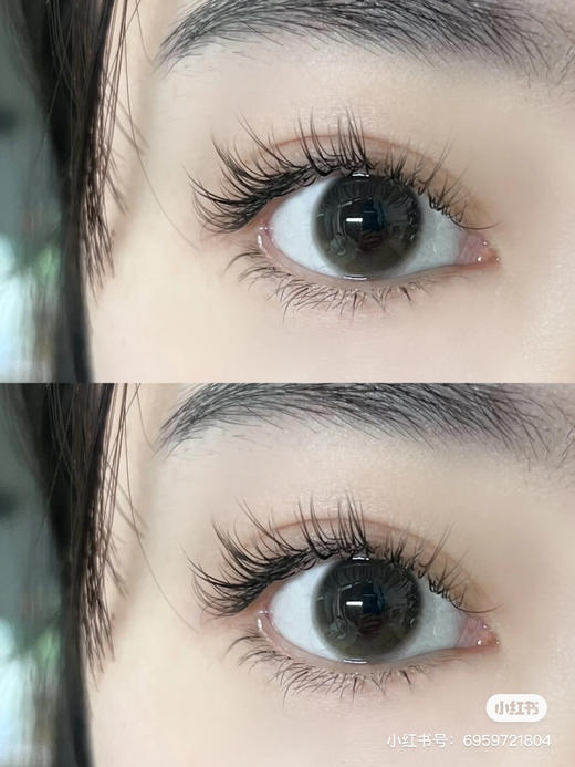 半年抛 Ginomii 透光小黑 14.0  A3 柔光黑 商品图7