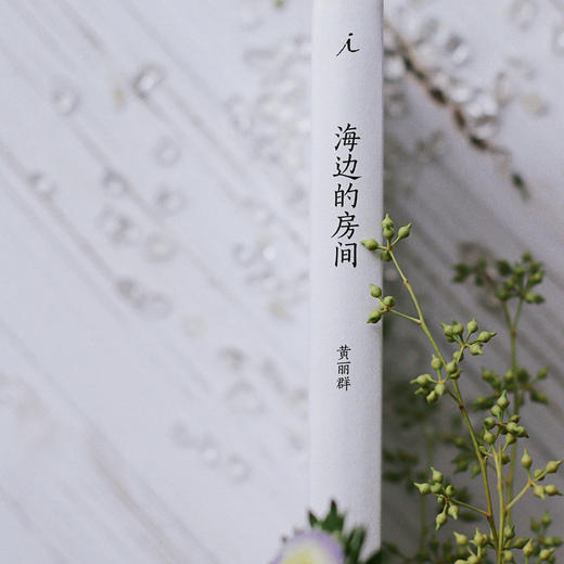 黄丽群《海边的房间》 商品图1