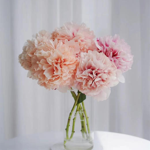 进口品种御前表演芍药花1支热卖 商品图4