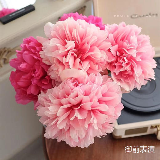 进口品种御前表演芍药花1支热卖 商品图0