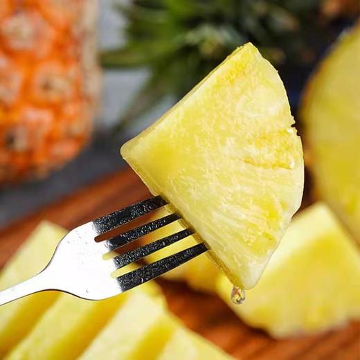 海南香水菠萝  约1000g 【BC】【DN】 商品图1