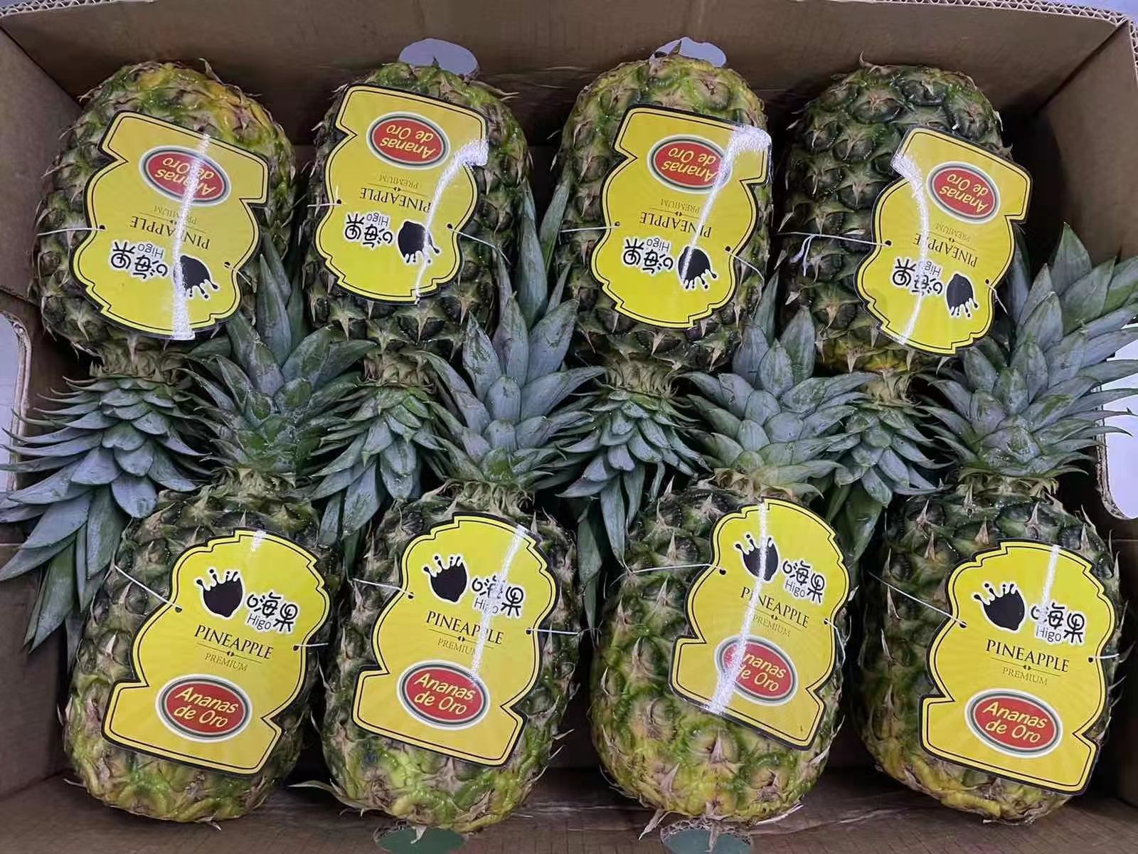 金钻凤梨，每箱8个，共23斤