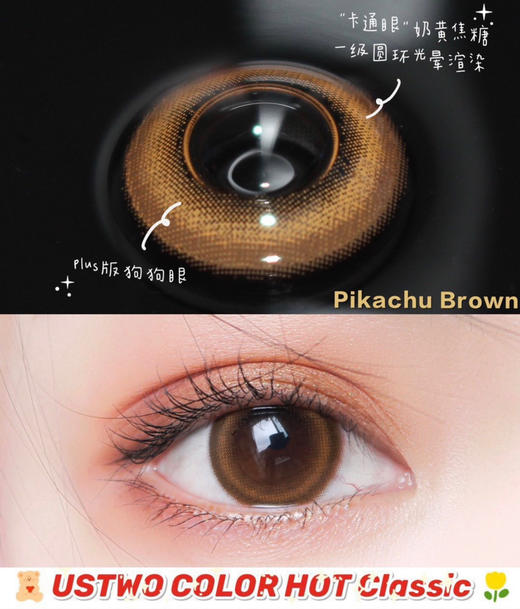 蛋壳棕（年抛型） 商品图0