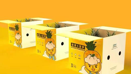 徐闻菠萝3只一箱装约5斤 商品图1