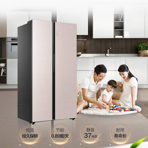 海尔539升风冷变频对开门冰箱BCD-539WGHSSEDY1 商品图5