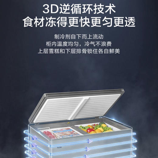 海尔（Haier）冷柜FCD-311LHKPT双温柜 商品图6