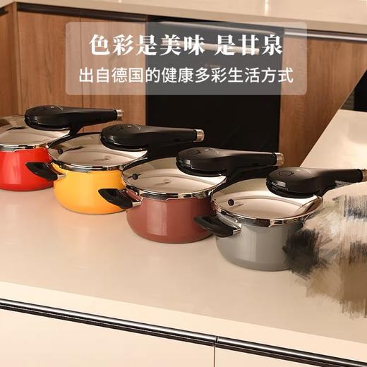 【6F】WMF德国原装进口奈彩米快易锅6.5L（四色可选） 商品图5