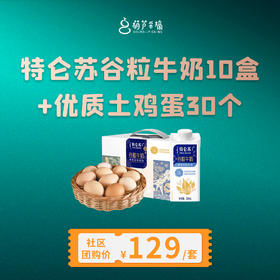 特仑苏谷粒牛奶（10盒）+优质土鸡蛋（30个）