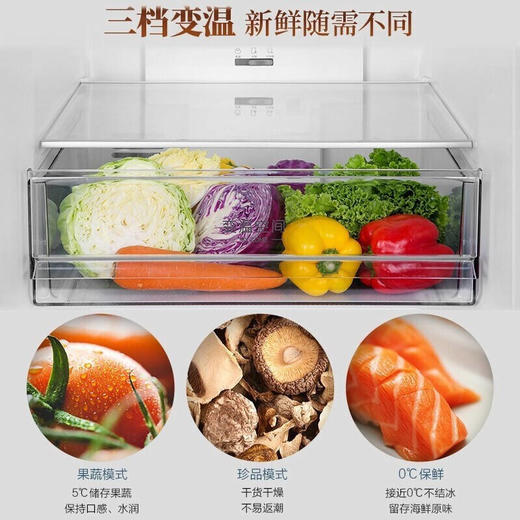 海尔两门双门冰箱一级能效风冷无霜变频节能家用BCD-309WMCO 商品图5