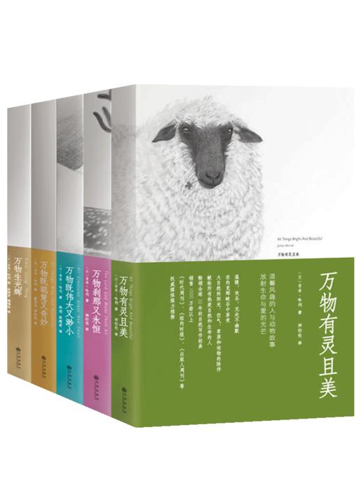 【心如健】正版 万物有灵且美系列小说 套装5册 万物生光辉 万物既伟大又渺小 万物刹那又永恒 万物既聪慧又奇妙 吉米哈利外国小说书现代小说 商品图4