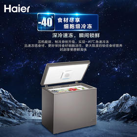 海尔142升小富豪卧式冷柜BC/BD-142HER