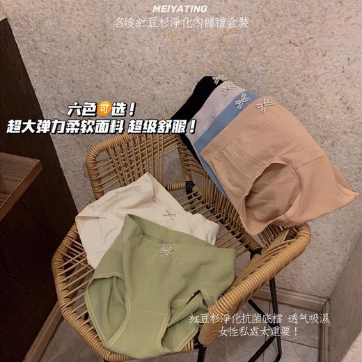 黛唯梵六条盒装名媛红豆杉净化内裤女纯棉裆抗jun学生高弹提臀中腰三角裤国庆清明出游 商品图0