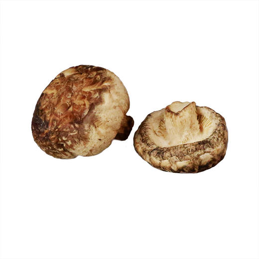 林中宝原木小香菇250克/瓶（助农产品） 商品图3