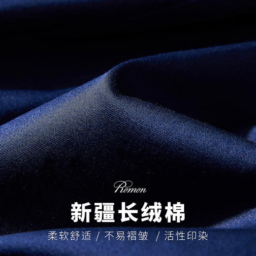 【纯棉微弹力】罗蒙春夏男装立领长袖衬衫男士正装商务通勤爸爸装立领衬衣男 商品图7