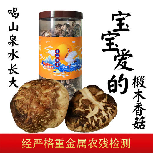 林中宝原木小香菇250克/瓶（助农产品） 商品图4