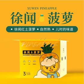 徐闻有一个闻名遐迩的“海”，叫做“菠萝的海”