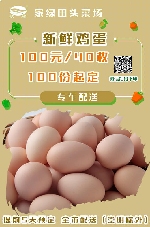 【团单】散养蛋40枚1份 100份起送  提前5天预订 上海市包配送（崇明除外） 商品图0