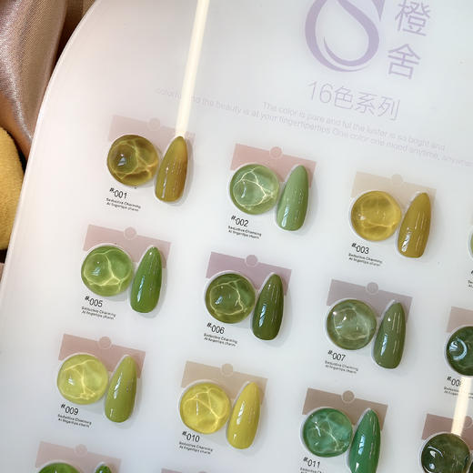 【秒杀价】云杉芽绿16色套系 商品图2