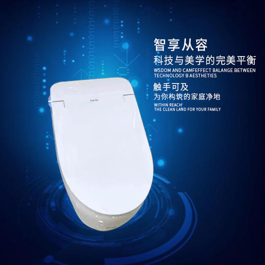 【德国莱恩】智能马桶 座圈加热+电动冲水Q31-207 商品图2
