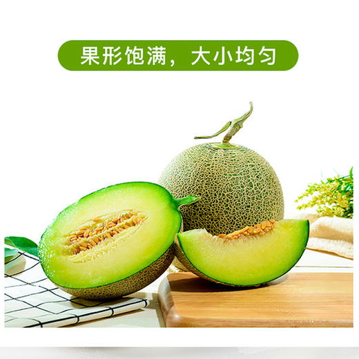 网纹瓜，国产 商品图4