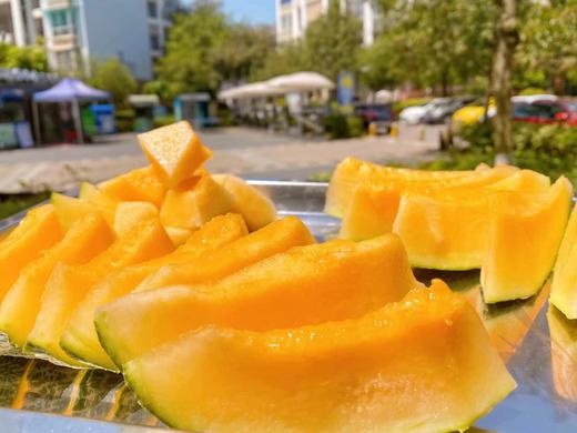 【八方】海南哈密瓜 商品图2