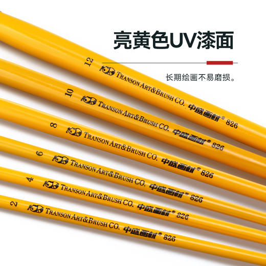 中盛画材826水粉笔狼毫6支排笔画笔套装丙烯水彩油画颜料专用笔平头笔美术绘画用品专用画具画材儿童 商品图3