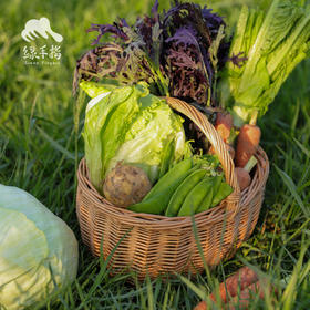 生态蔬菜（四川，空运）| 合作生产* Ecological vegetable | Coproduction