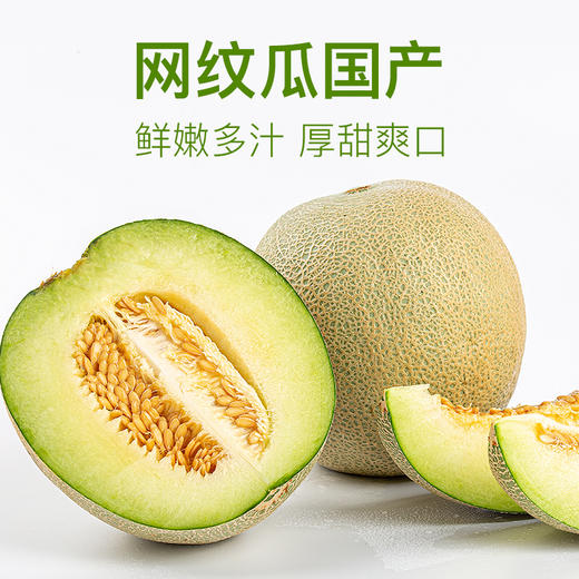 网纹瓜，国产 商品图0