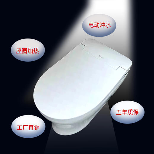 【德国莱恩】智能马桶 座圈加热+电动冲水Q31-207 商品图1