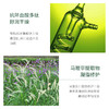 积雪草多肽嫩颜护肤品六件套保湿补水亮肤清爽化妆品 商品缩略图2