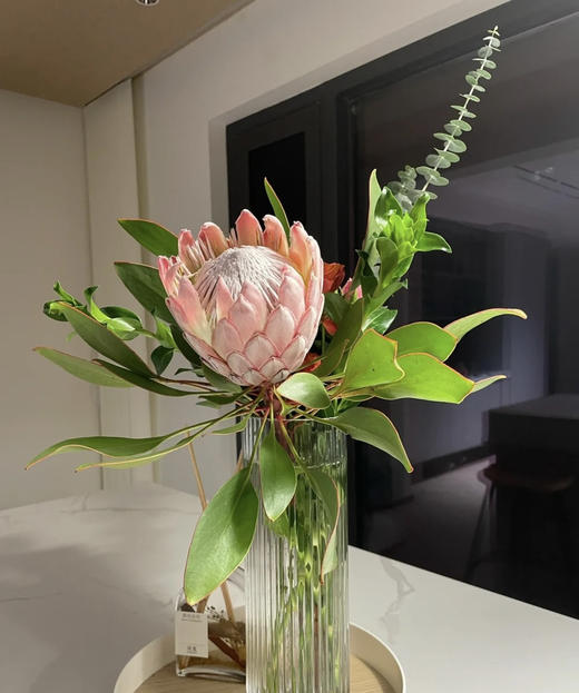 粉帝王 （希娜 ）粉色 单枝 商品图4